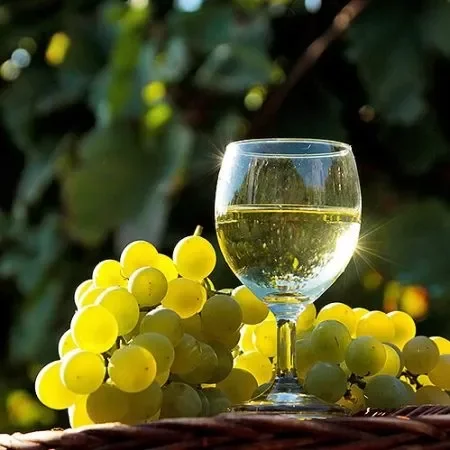 Porto Diverty by the Glass (White)