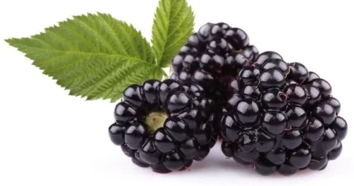Blackberry