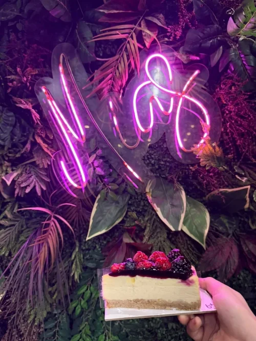 Forest Berry Cheesecake