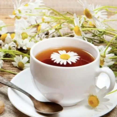 Chamomile