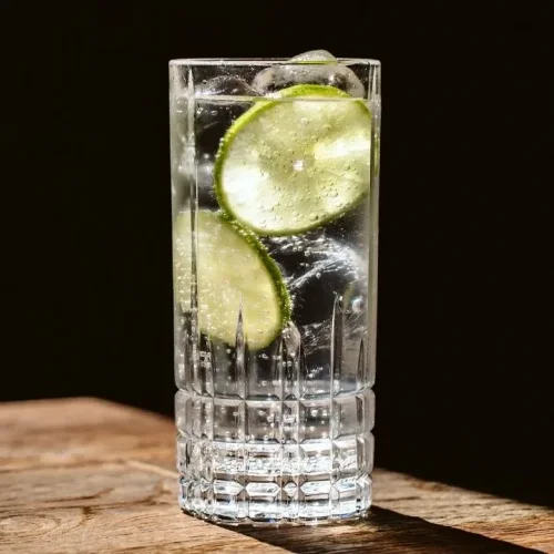 Gin and Tonic / Single