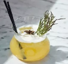 MELON PALOMA